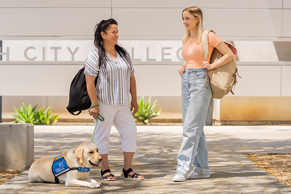 Business Administration - Diablo Valley College - Notre Dame de Namur University